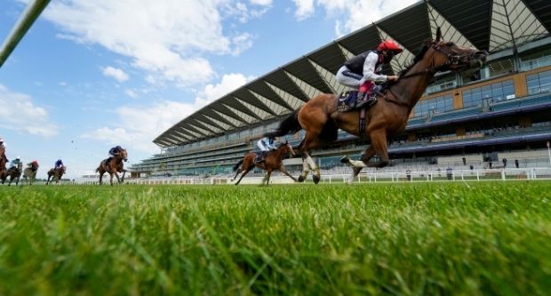 Jockeys racing past as Ascot Racecourse